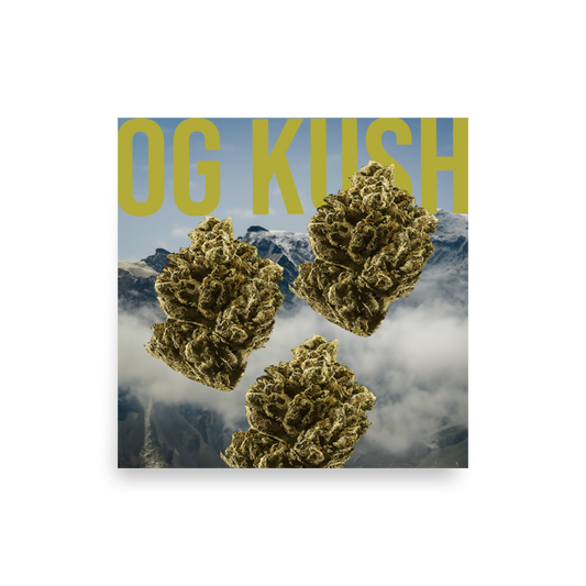 OG Kush Poster