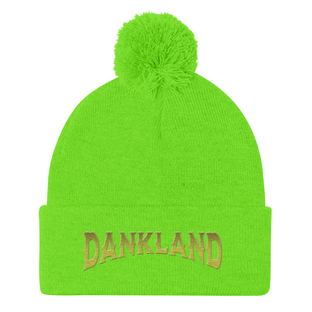 DLC Pom-Pom Beanie