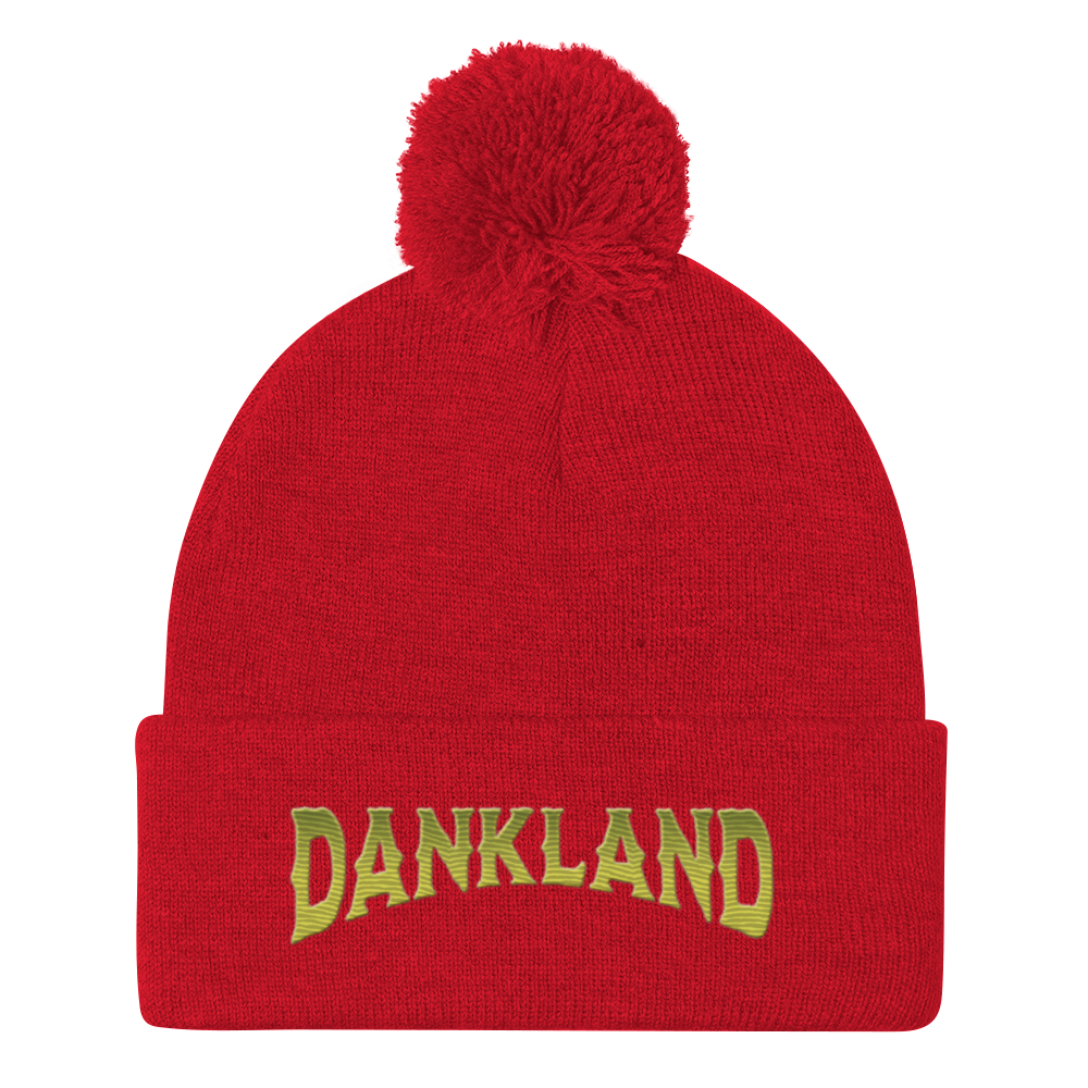 DLC Pom-Pom Beanie