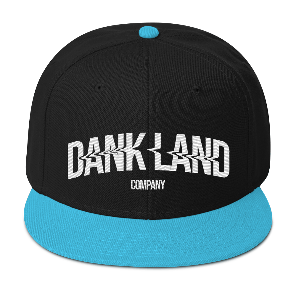 DLC Embroidery Snapback Hat