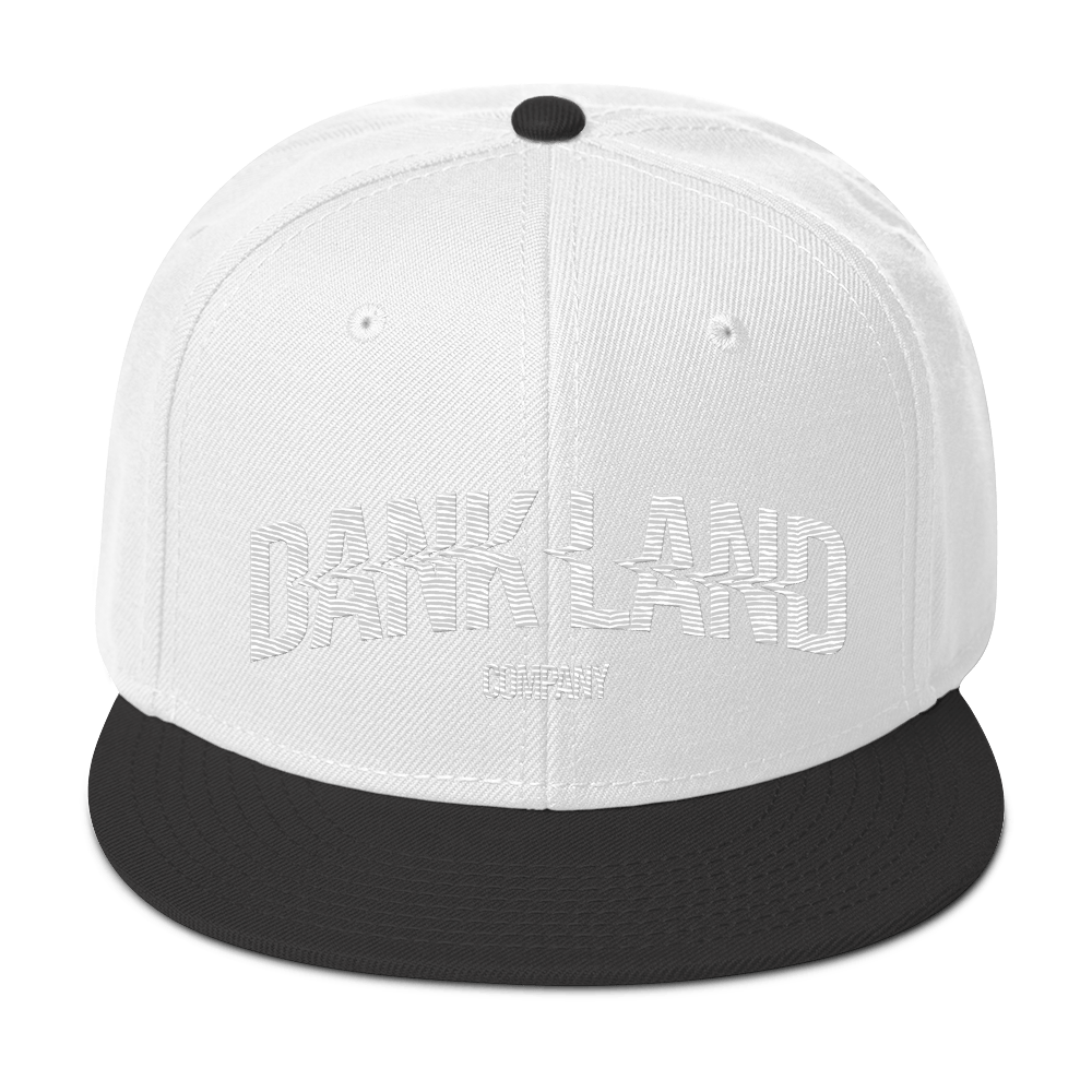 DLC Embroidery Snapback Hat