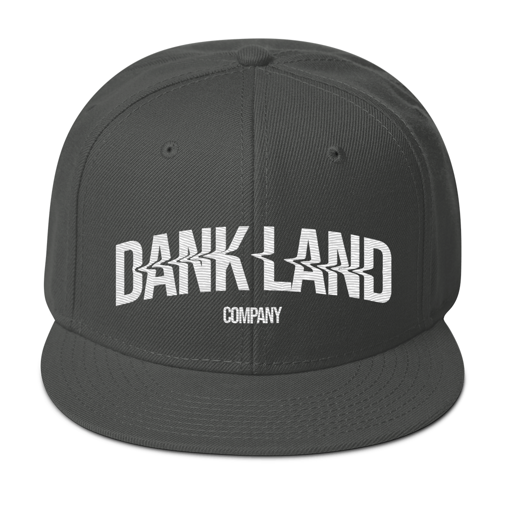 DLC Embroidery Snapback Hat