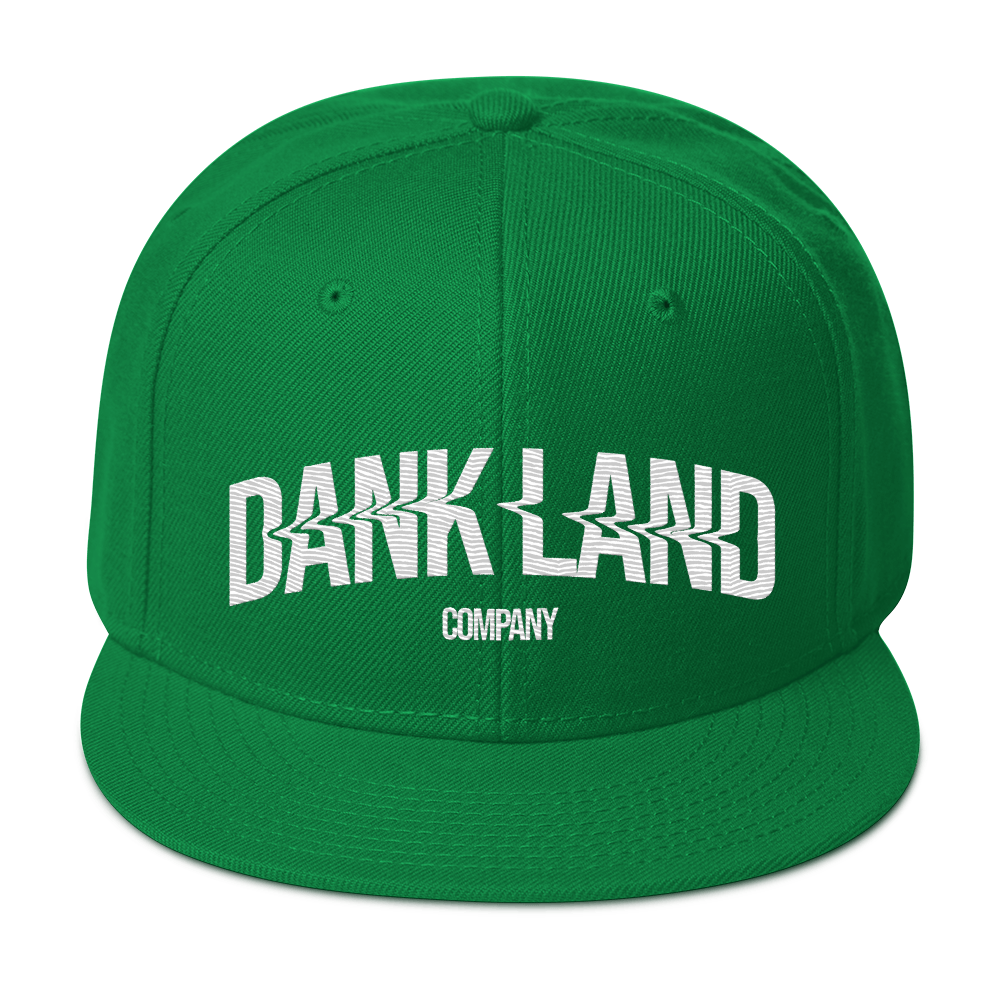 DLC Embroidery Snapback Hat