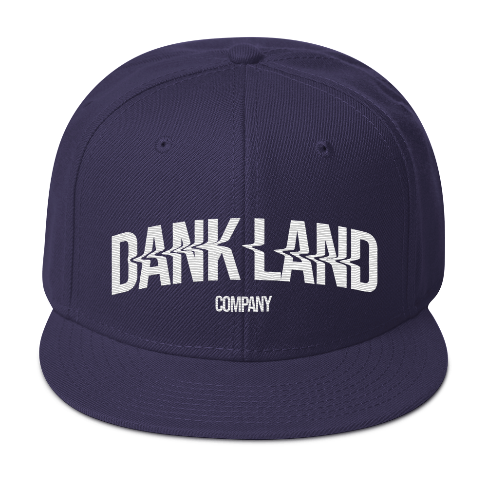 DLC Embroidery Snapback Hat