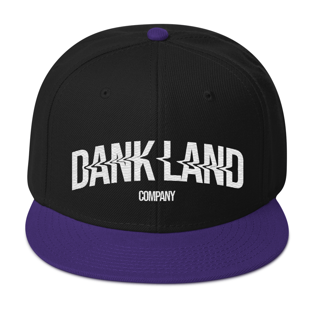 DLC Embroidery Snapback Hat