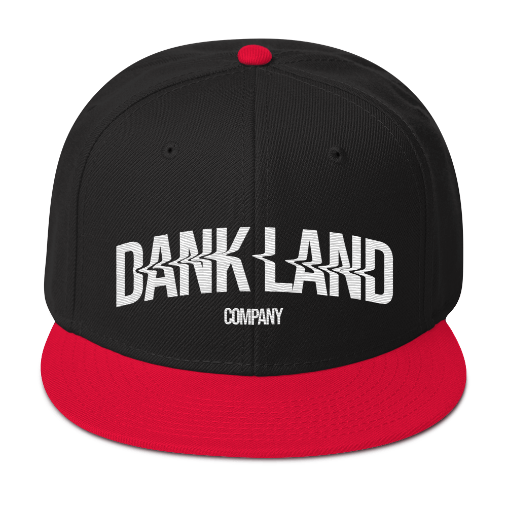 DLC Embroidery Snapback Hat