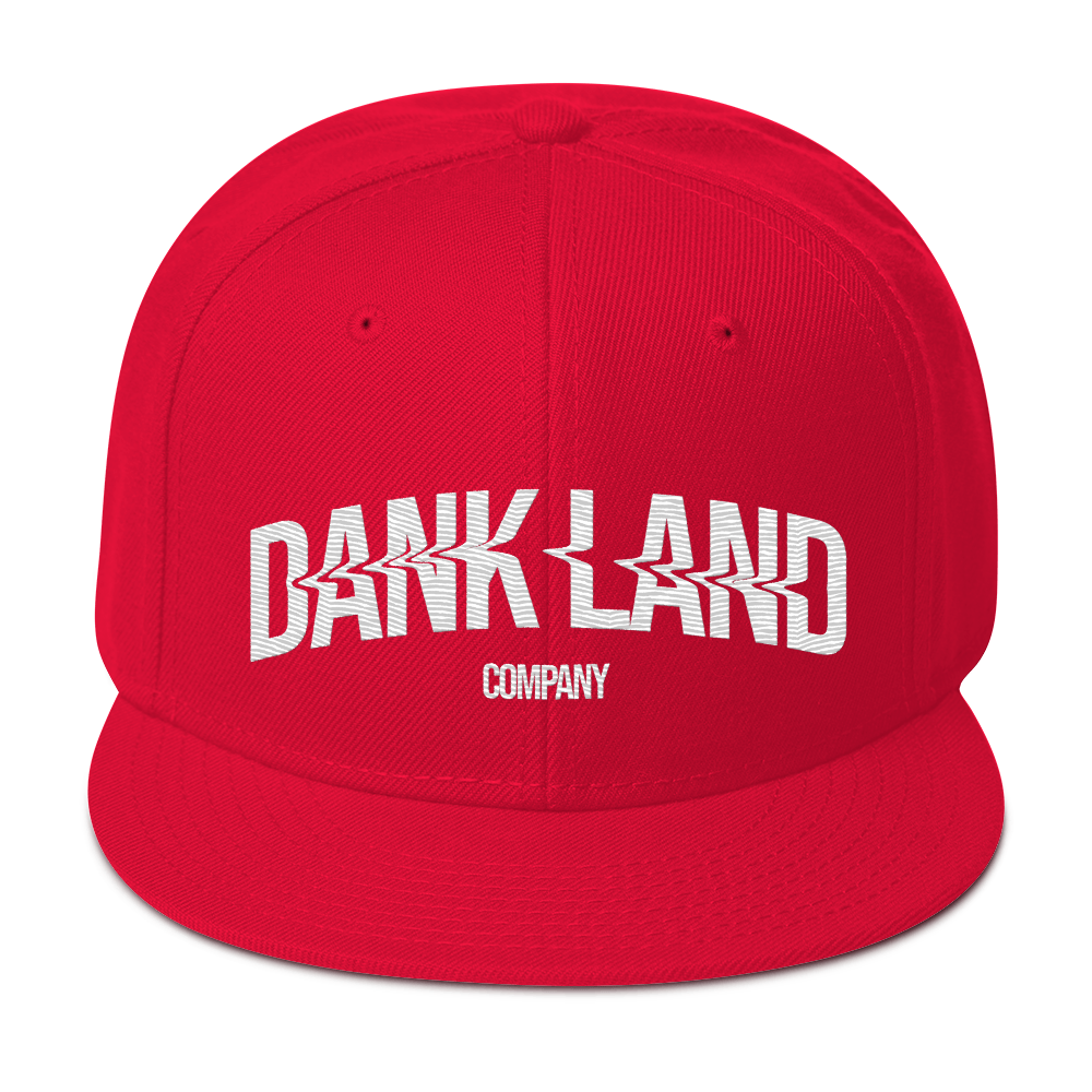 DLC Embroidery Snapback Hat