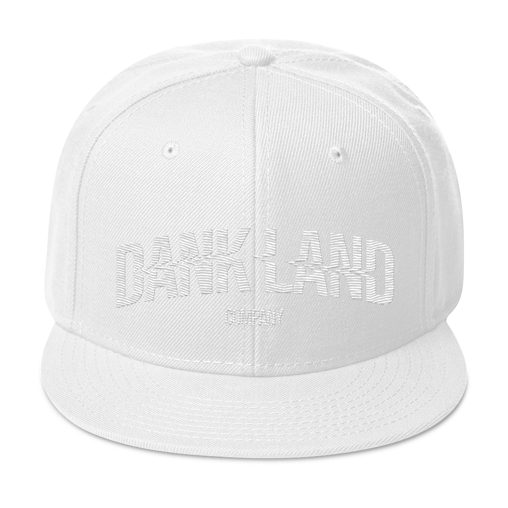 DLC Embroidery Snapback Hat