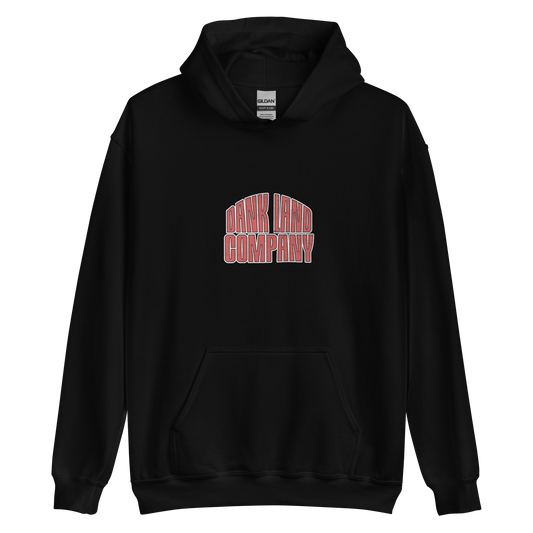 DLC HOODIE